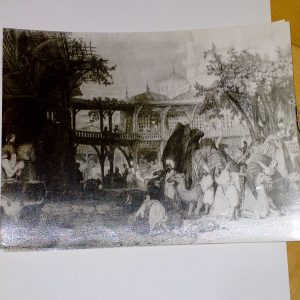 fotoğraf