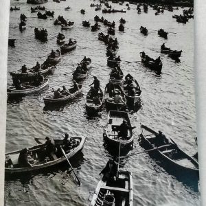 fotoğraf